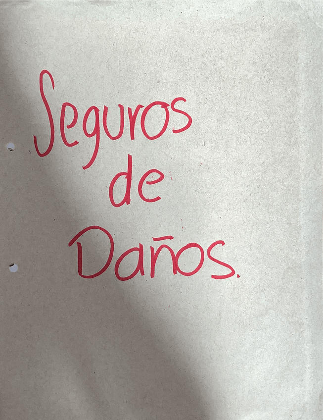 Miniatura del documento Seguros-de-danos.pdf