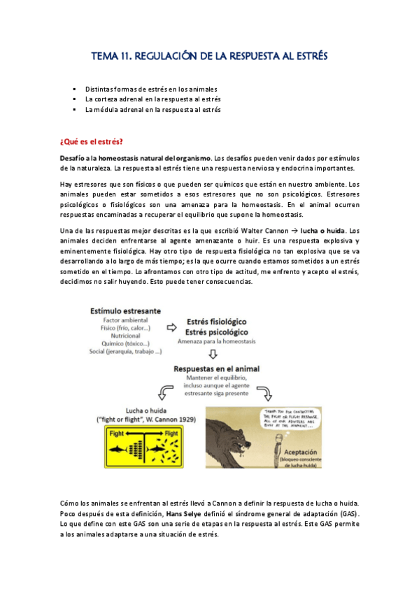 Miniatura del documento Apuntes-Tema-11.pdf