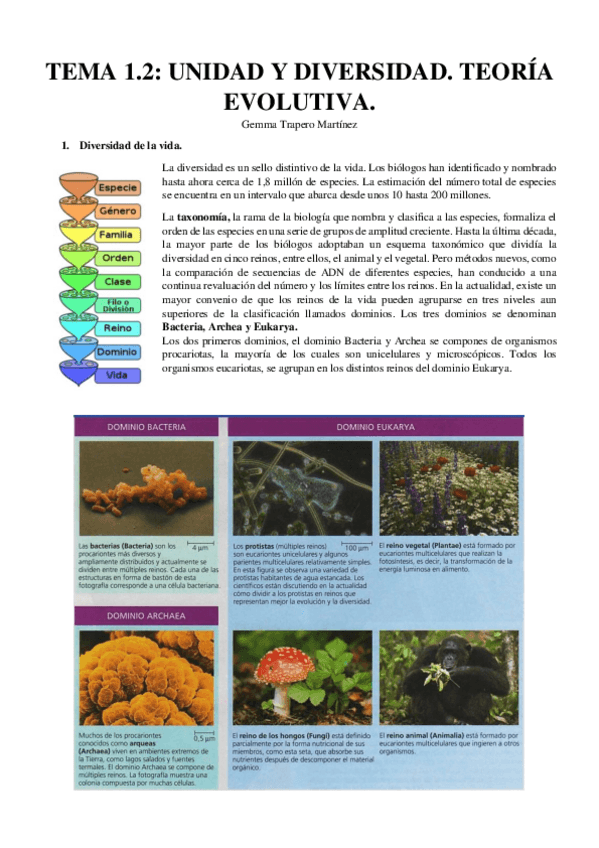 Miniatura del documento TEMA-1.pdf