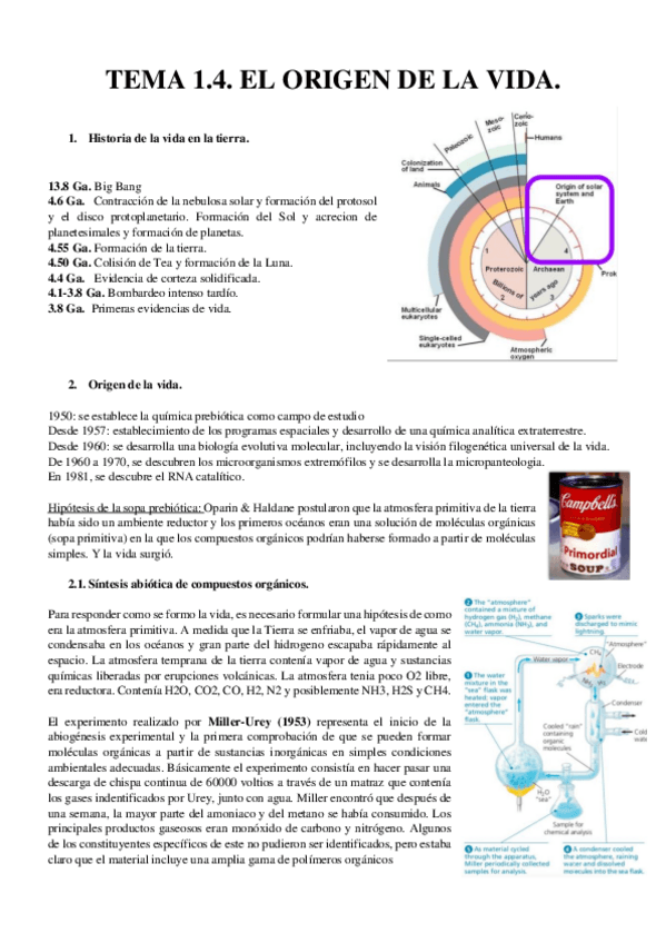 Miniatura del documento TEMA-1.pdf