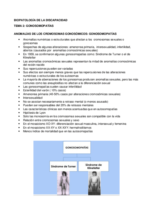 Miniatura del documento B.pdf