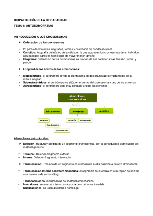 Miniatura del documento B.pdf