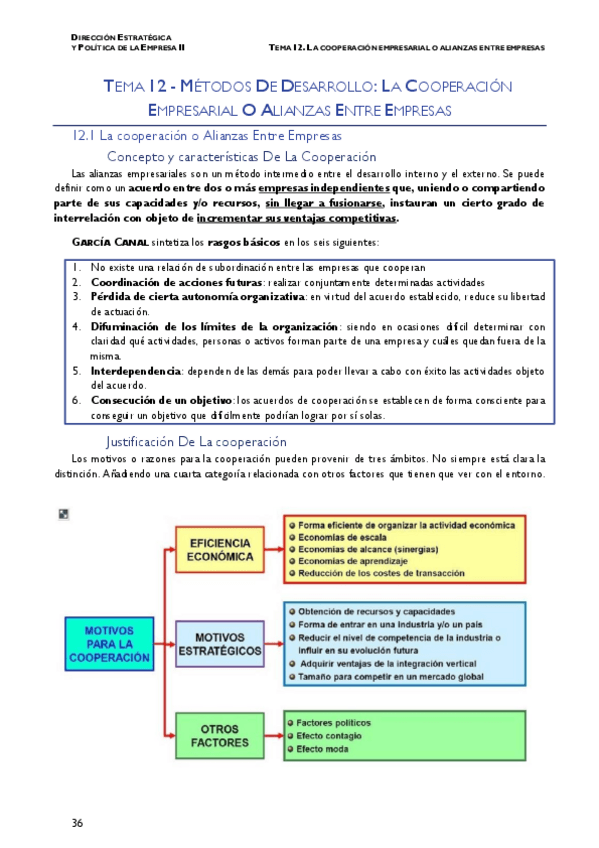 Miniatura del documento TEMA-12-La-cooperacion-estrategica-DEPE-II.pdf