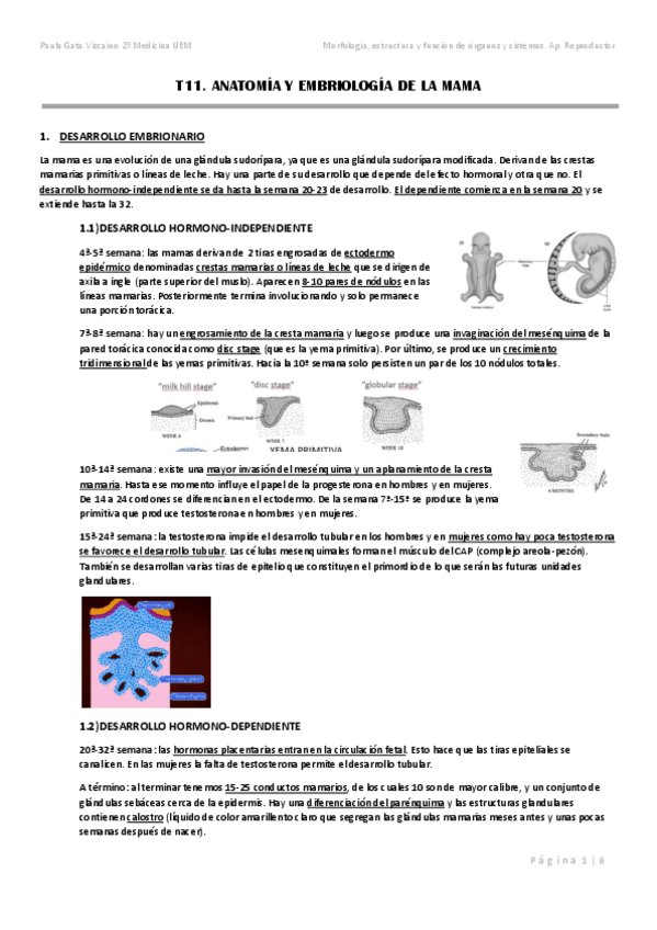 Miniatura del documento T11.pdf