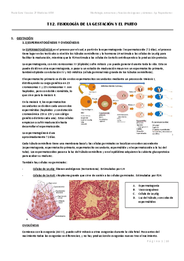 Miniatura del documento T12.pdf