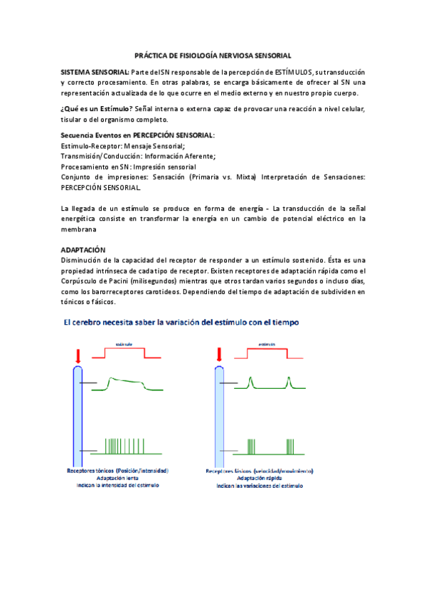 Miniatura del documento PRACTICA-DE-FISIOLOGIA-NERVIOSA-SENSORIAL.pdf