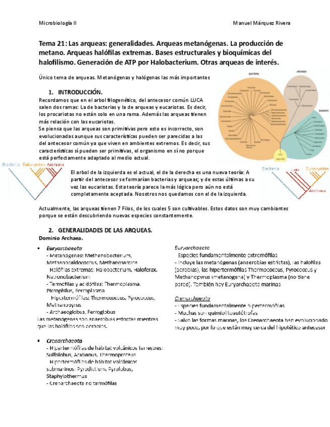 Miniatura del documento Tema 21.pdf