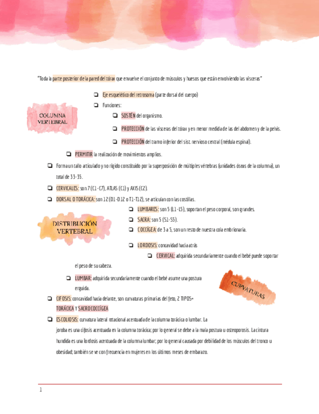Miniatura del documento RETROSOMA.pdf