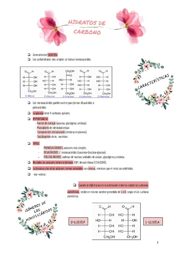 Miniatura del documento HIDRATOS-DE-CARBONO.pdf