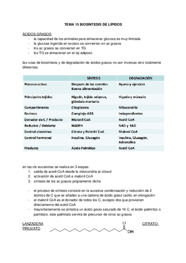 Miniatura del documento TEMA-15.docx