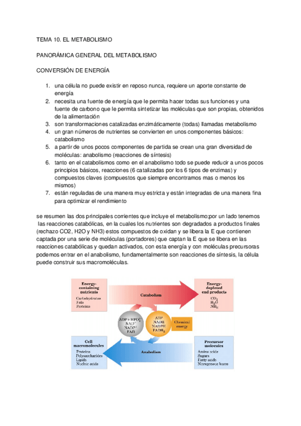 Miniatura del documento TEMA-10.docx