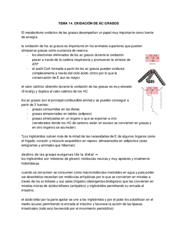 Miniatura del documento TEMA-14.docx