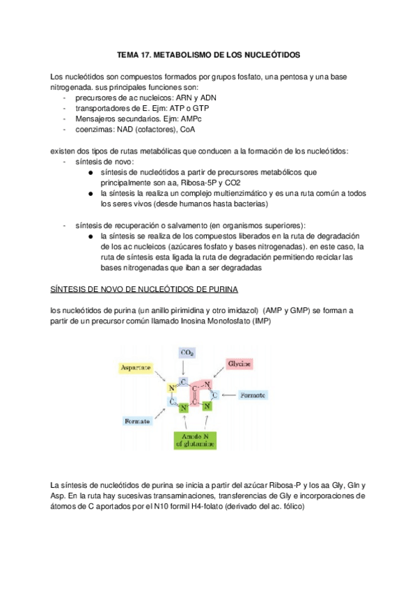 Miniatura del documento TEMA-17.docx
