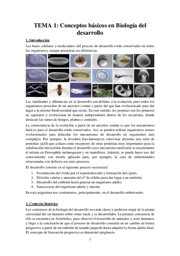Miniatura del documento Tema-1-Apuntes-Bases-Desarrollo.pdf