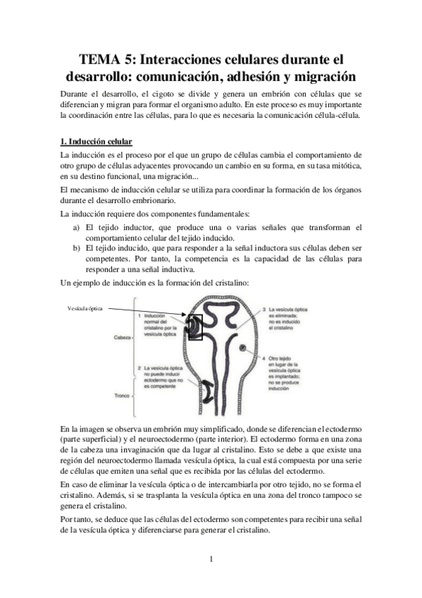 Miniatura del documento Tema-5-Apuntes-Bases-Desarrollo.pdf
