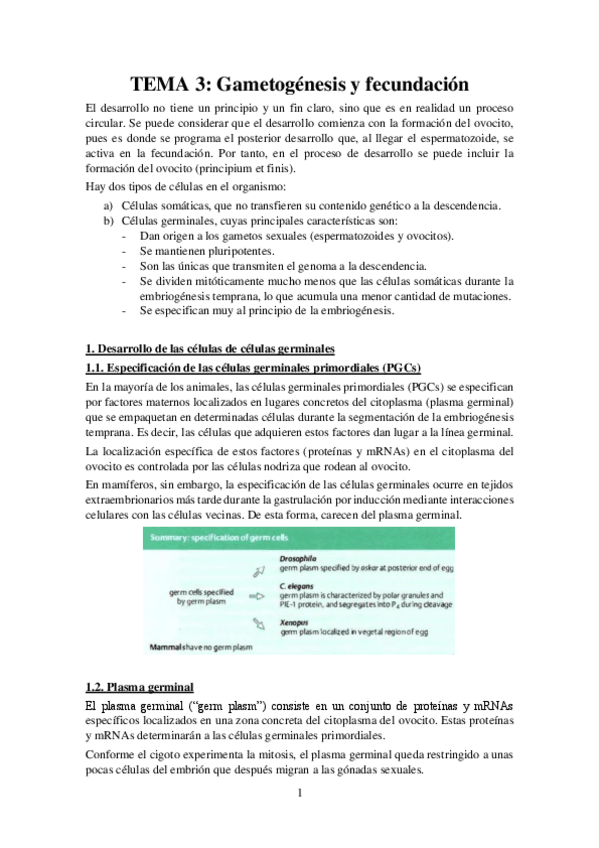 Miniatura del documento Tema-3-Apuntes-Bases-Desarrollo.pdf