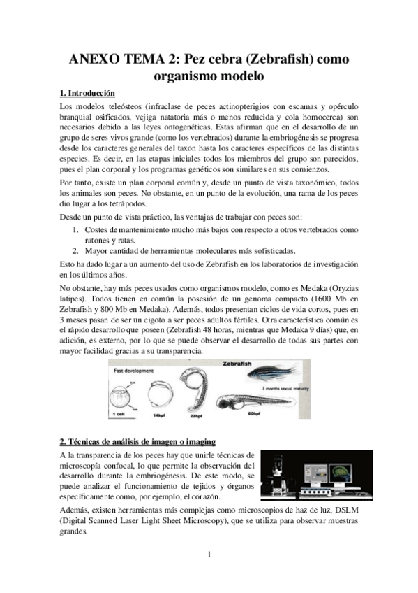 Miniatura del documento Tema-2-anexo-Apuntes-Bases-Desarrollo.pdf