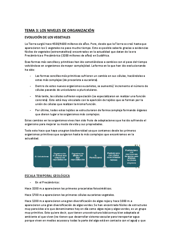 Miniatura del documento tema-3-los-niveles-de-organizacion.pdf