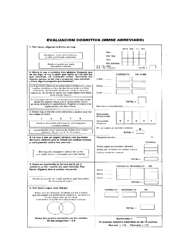 Miniatura del documento Minimental-abreviado-MINSAL.pdf