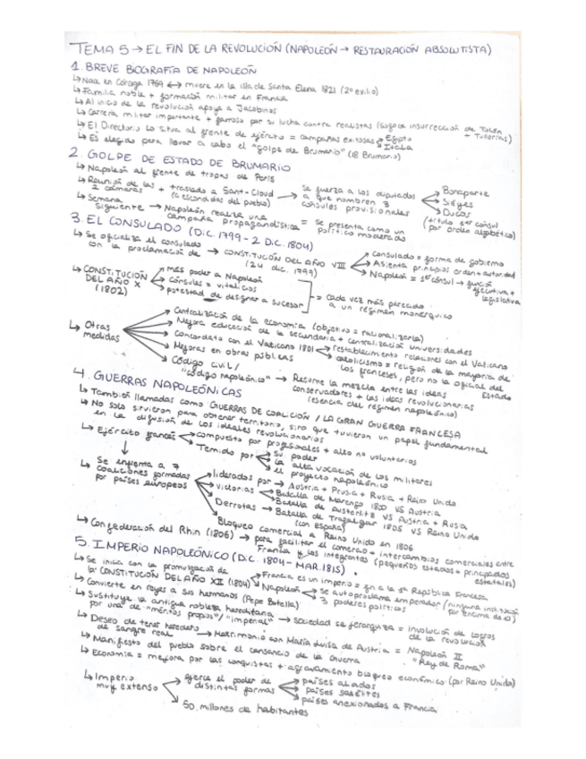 Miniatura del documento T5-Napoleon-.pdf