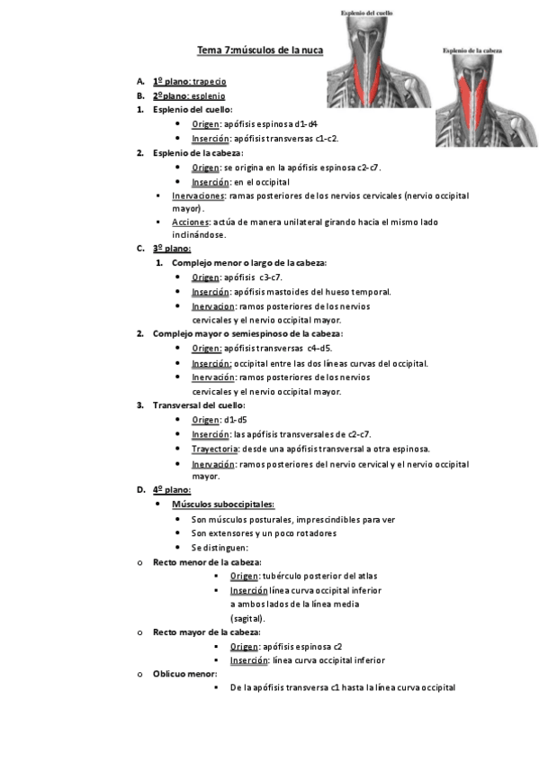 Miniatura del documento musculos-de-la-nuca.pdf