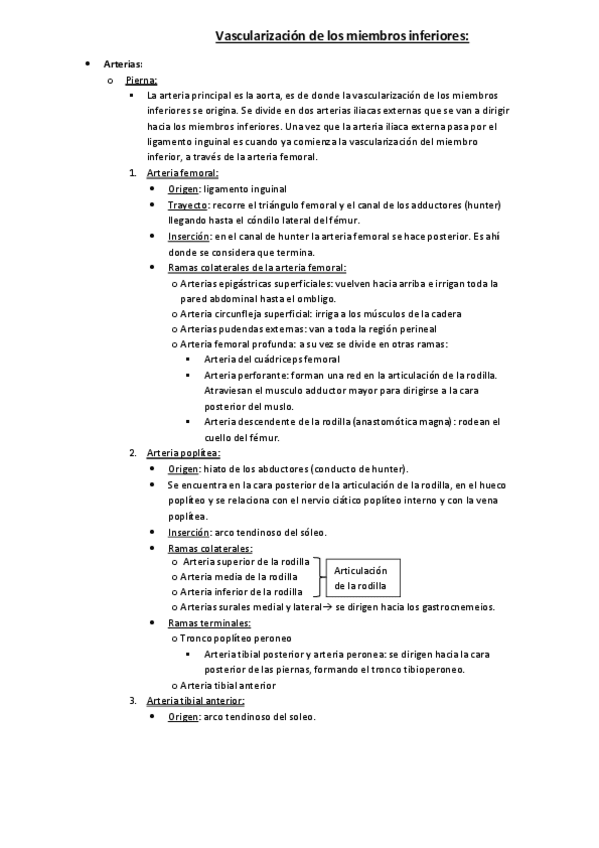 Miniatura del documento Vascularizacion-de-los-miembros-inferiores.pdf