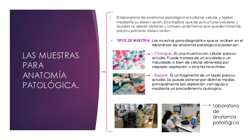 Miniatura del documento Las-muestras-para-anatomia-patologica.pdf