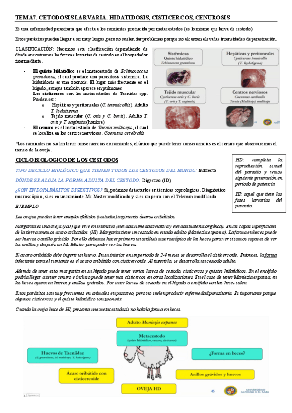 Miniatura del documento 7-9.pdf