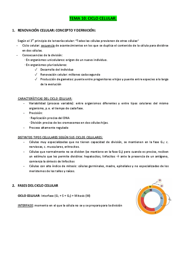 Miniatura del documento TEMA-10-y-11-CICLO-CELULAR-y-DIVISION.pdf