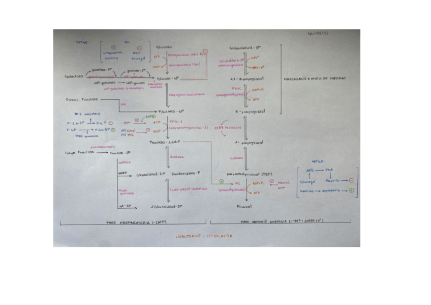 Miniatura del documento Esquemes-final.pdf