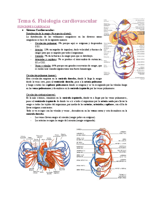 Miniatura del documento Tema-6.pdf