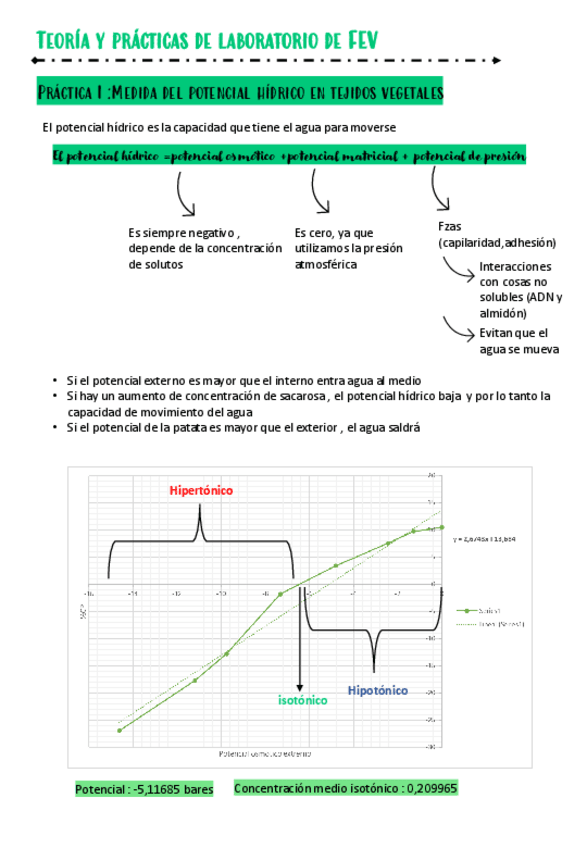 Miniatura del documento Terio-practicas-de-lab-de-fev-vegetal.pdf