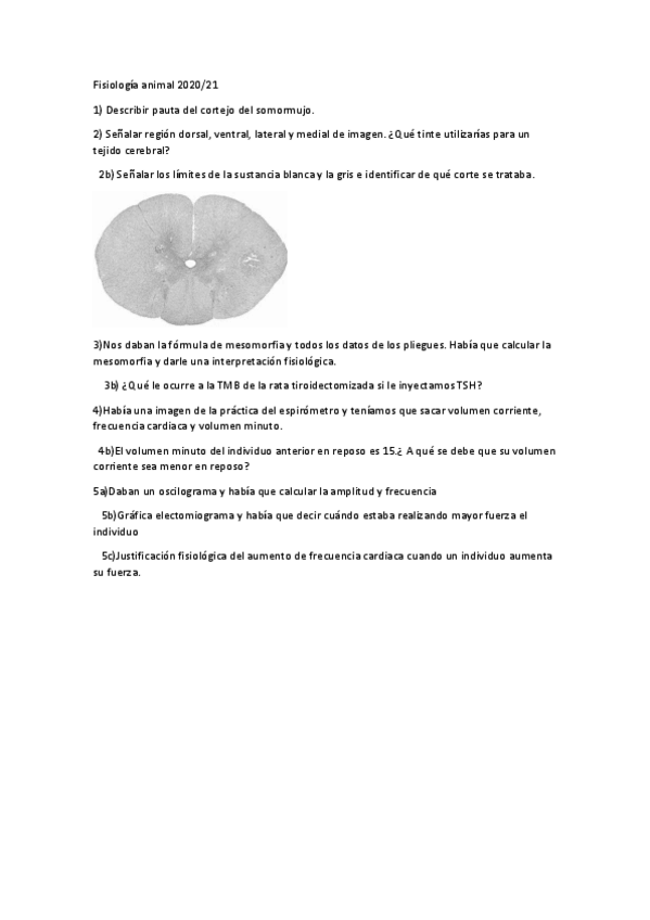 Miniatura del documento Fisiologia-animal-2020.pdf
