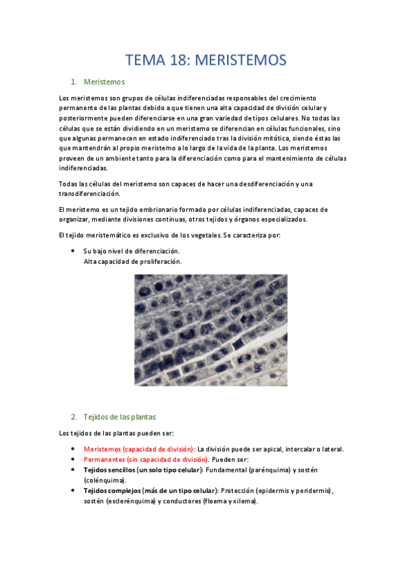 Miniatura del documento RESUMEN-TEMAS-18-23.pdf