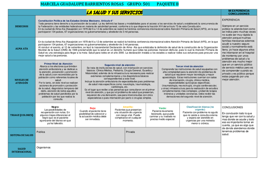 Miniatura del documento LA-SALUD-Y-SUS-SERVICIOS.pdf