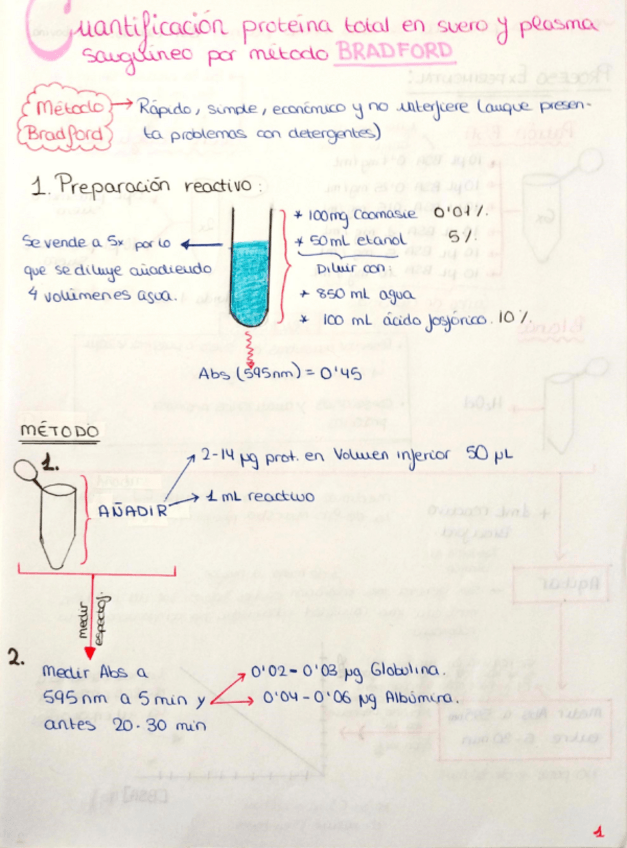 Miniatura del documento Esquemas-Practicas-BQ-Metabolica.pdf