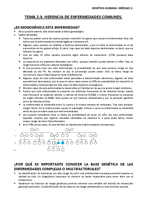 Miniatura del documento Tema-2.pdf