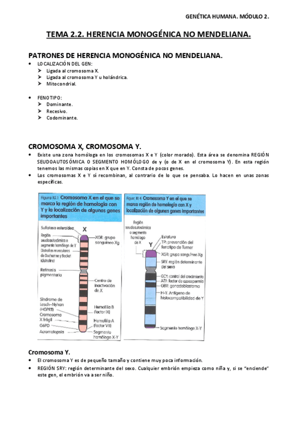 Miniatura del documento Tema-2.pdf