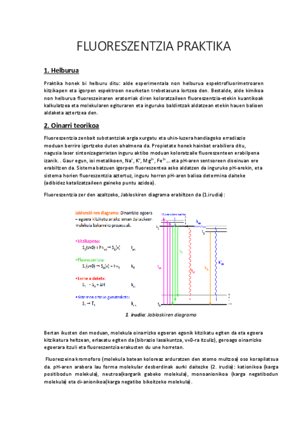 Miniatura del documento Fluoreszentzia-txostena.pdf