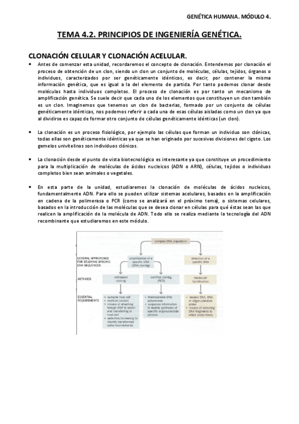 Miniatura del documento Tema-4.pdf