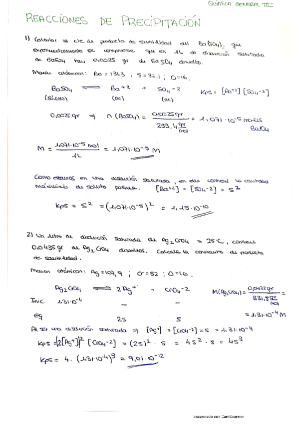 Miniatura del documento PRECIPITACIÓN. OXID-REDUC QGIII.pdf