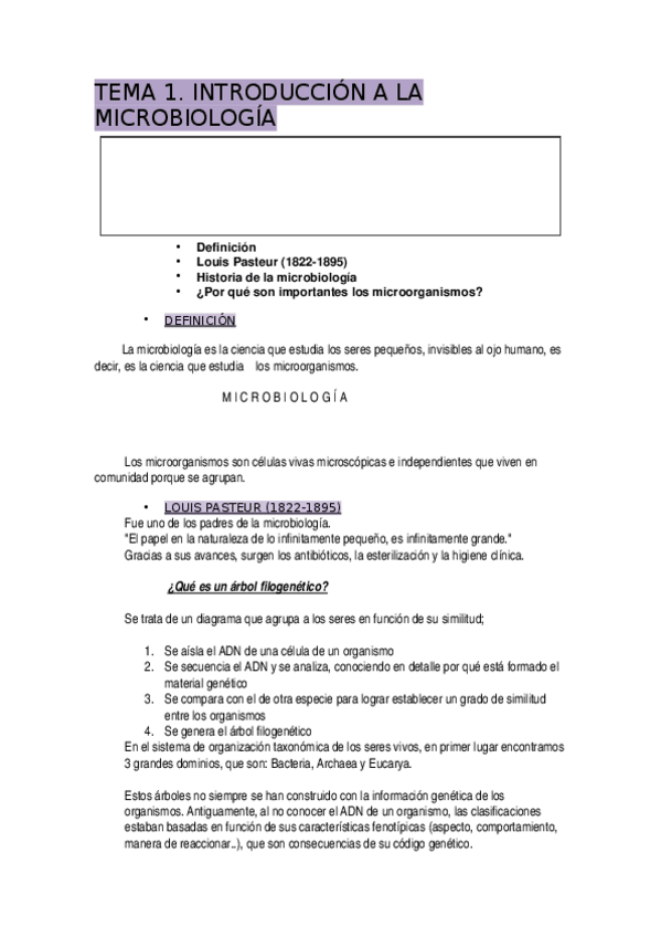 Miniatura del documento TEMA-1.docx