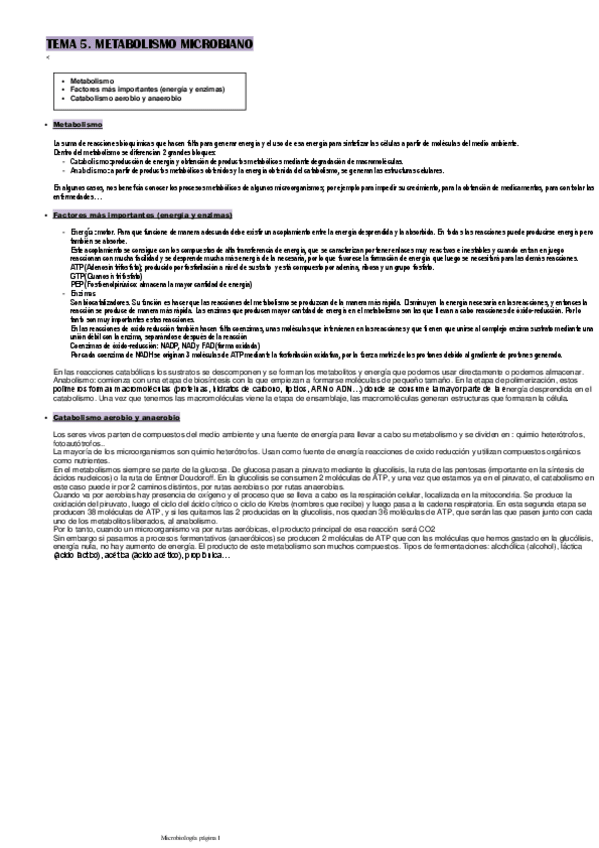 Miniatura del documento TEMA-5.pdf