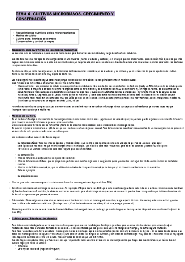 Miniatura del documento TEMA-6.pdf