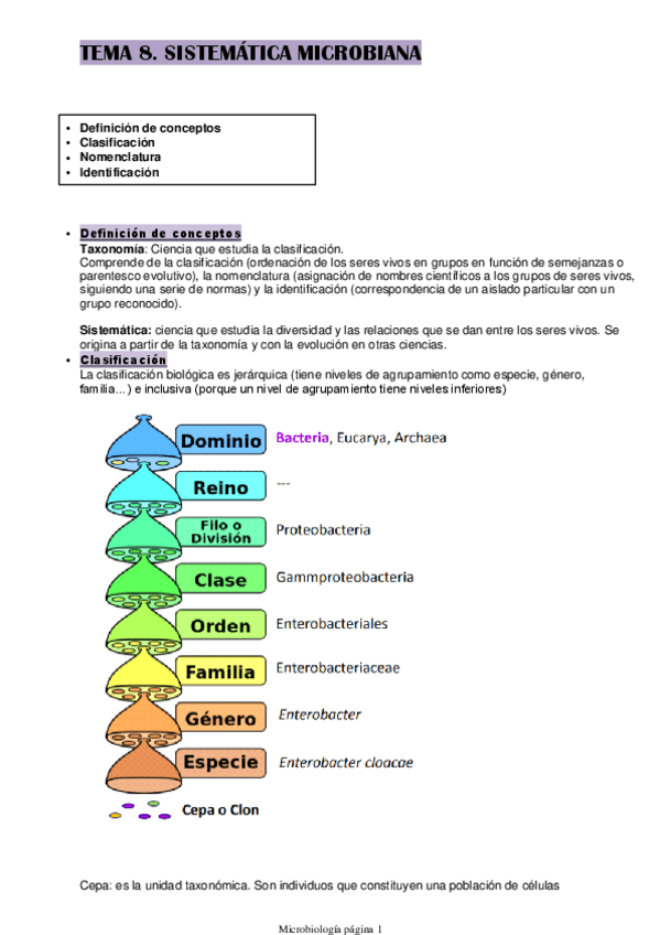 Miniatura del documento TEMA-8.pdf