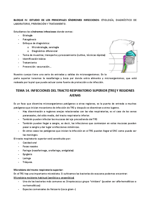 Miniatura del documento T14 Micro W.pdf