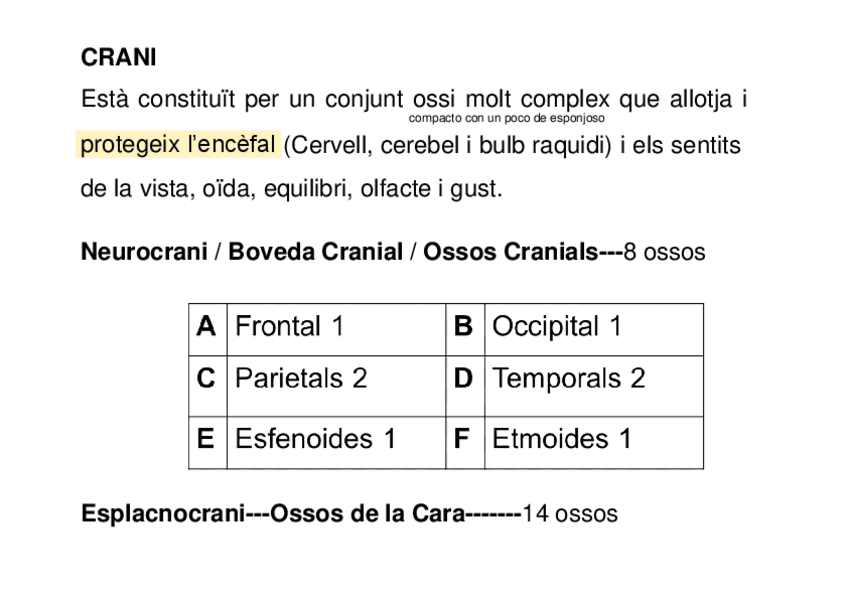 Miniatura del documento 2-NEUROCRANI-con-apuntes.pdf