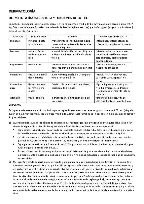 Miniatura del documento DERMATOLOGÍA.pdf