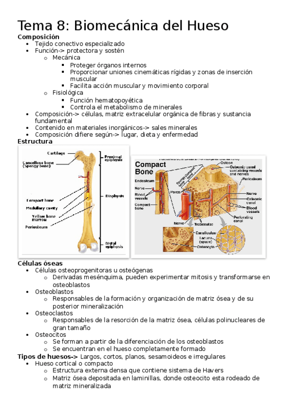 Miniatura del documento Tema-8.docx