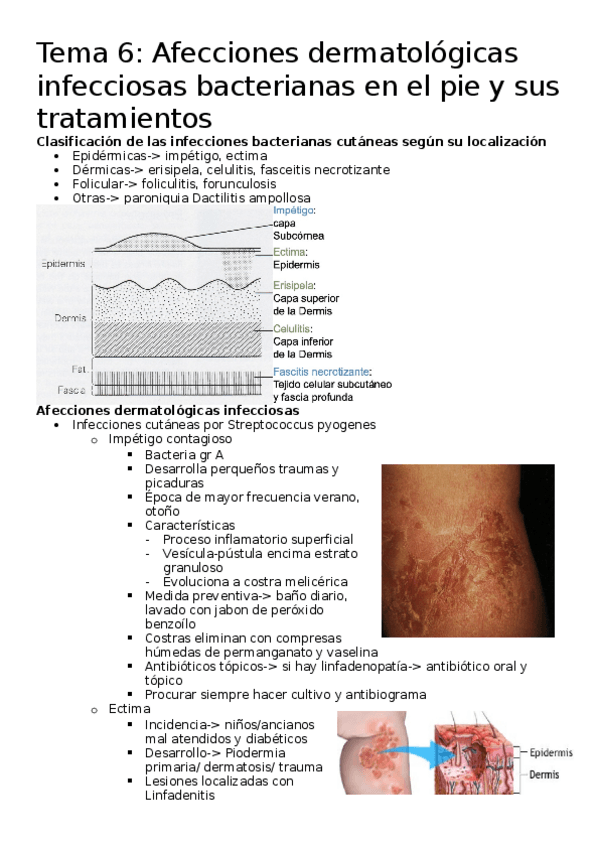 Miniatura del documento Tema-6.docx